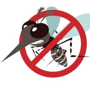 Verscheuche lästige Insekten mit Insektaroma bio Duftmischung 100% (ätherisches Öl)