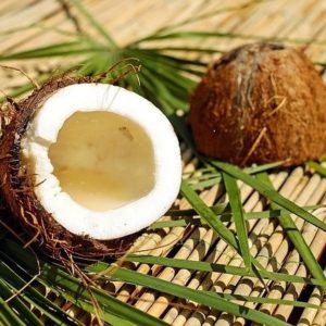 Kokosnuss zur Herstellung von Kokosöl virgin 100% bio (kaltgepresst)