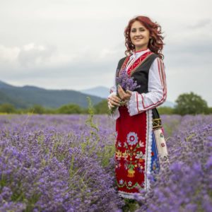 Bulgarische Frau in Tracht in Lavendelfeld zu Gewinnung von Lavendelöl fein Bulgarien bio