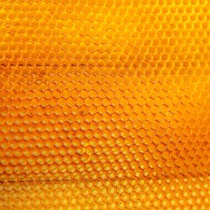 Honigwaabe zur Herstellung von Honig absolue bio 50% (Alkoholverdünnung)