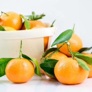 Mandarinen mit Zweigen und Blättern zur Gewinnung von Petit Grain Mandarine (ätherisches Öl)