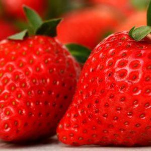 Erdbeeren zur Gewinnung von Erdbeersamenöl bio (kaltgepresst)